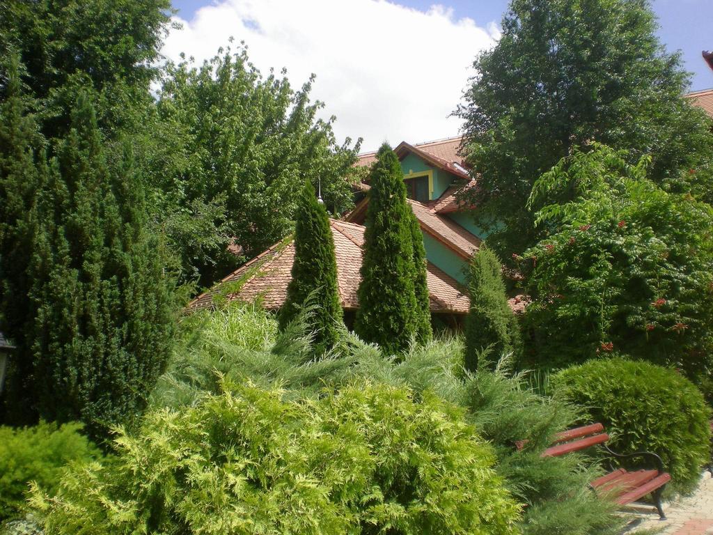Vinski Dvor Palić Εξωτερικό φωτογραφία